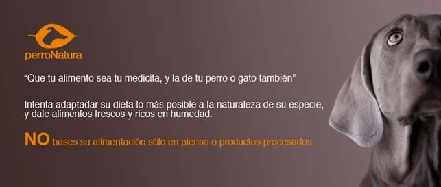 piensos naturales perros
