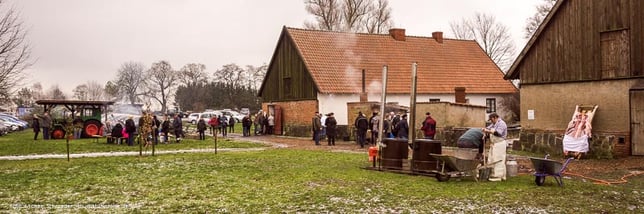 Hausschlachtung auf Hofgut Tellow