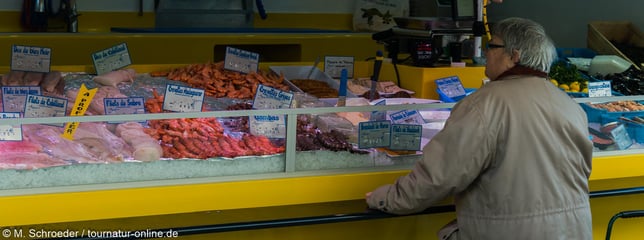 Aubigny sur Nère Wohnmobil wohnmobilfreundlich französisch typisch Kleinstadt Markt Wochenmarkt