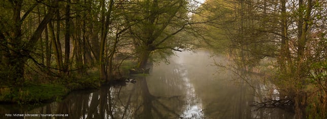 Frühmorgens an einem der vielen Kanäle im Spreewald