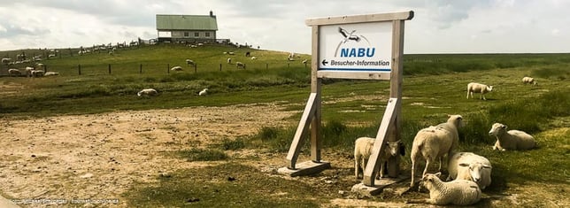 Nabu Infocenter auf der Hamburger Hallig
