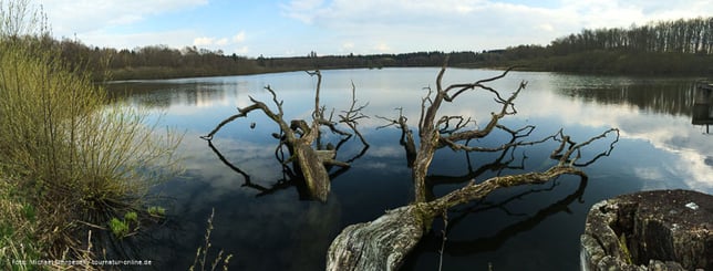 Naturpark Vulkanregion Vogelsberg mit dem Wohnmobil