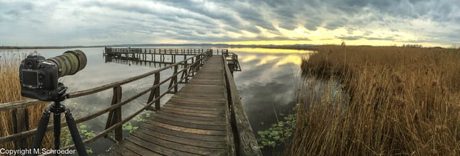 morgendlicher Ausflug mit Kamera an den See
