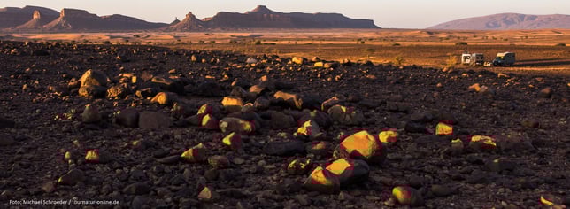 Unser Übernachtungsplatz am Morgen