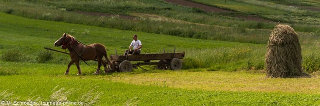 Pieninski Nationalpark mit dem Wohnmobil