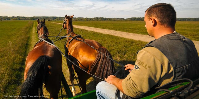 Mit dem Wohnmobil nach Ungarn