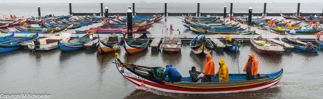 Moliceiro Boote Fischer Fischerei Ria de Aveiro