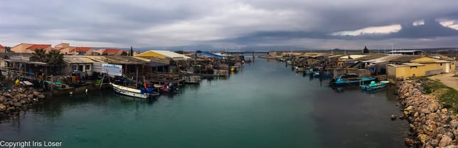 kleiner Hafen mit Austernfischern in der Nähe von Leucate