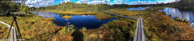 Die Sterntaucher leben in einem fantastischen Moorgebiet mit vielen kleinem Seen und Stegen.