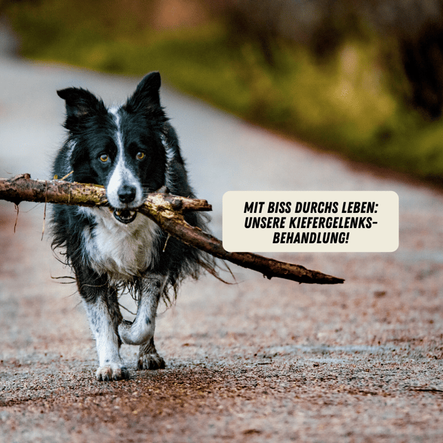 Kieferphysiotehrapeut Basel