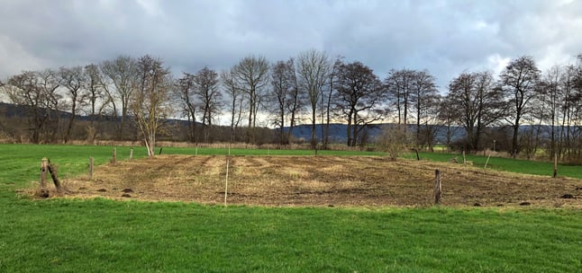 Gemähte Fläche auf der Nasswiese