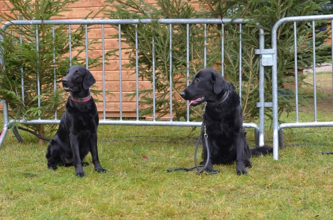 Bilder: M. Schmeusser