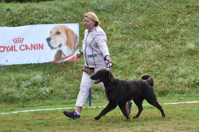 Hector very good open class 