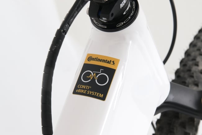 Vom Motor mit Zubehör bis zum Zahnriemen bietet Benchmark Drives ganze Systeme.