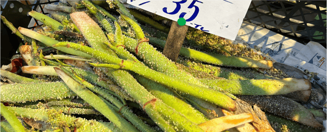 chillfood's bergkartoffeln