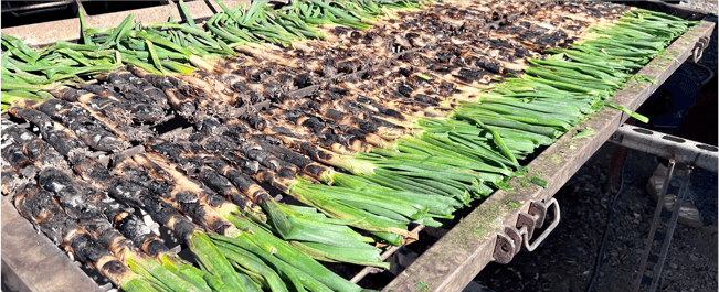 chillfood's bergkartoffeln