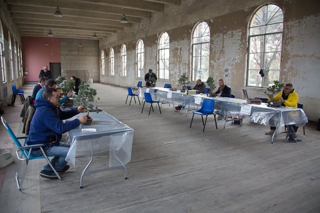 Miglior bonsaista 2018 - I concorrenti al lavoro 