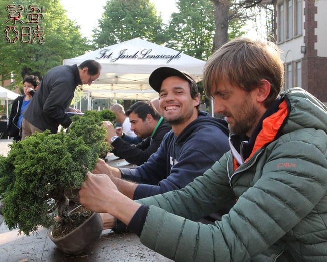 Matteo Massaglia - Bonsai Club Rivalta - Miglior bonsaista del Coordinamento 2017