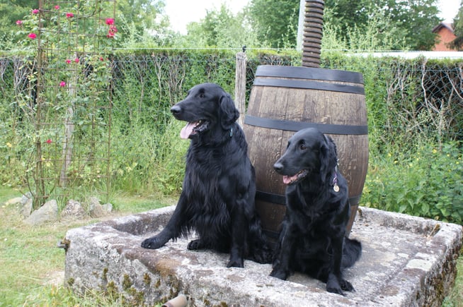 Sam et China le jour J !