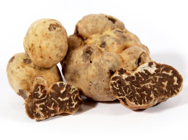 Photos de la truffe marzuolo (Tuber borchii Vitt.)