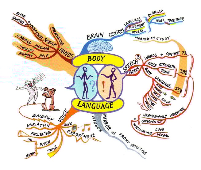 マインドマップ 「BODY LANGUAGE」