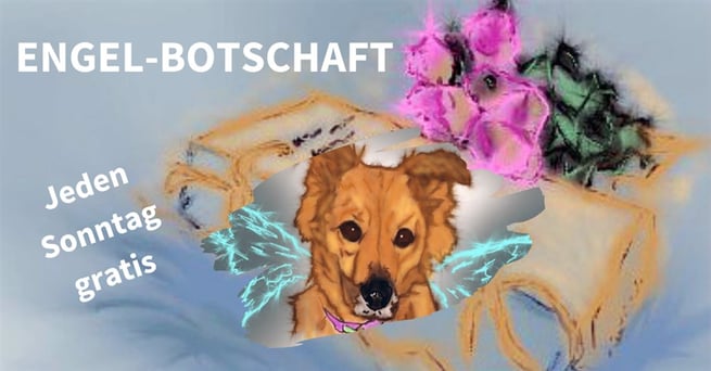 Engel Botschaft für Dich