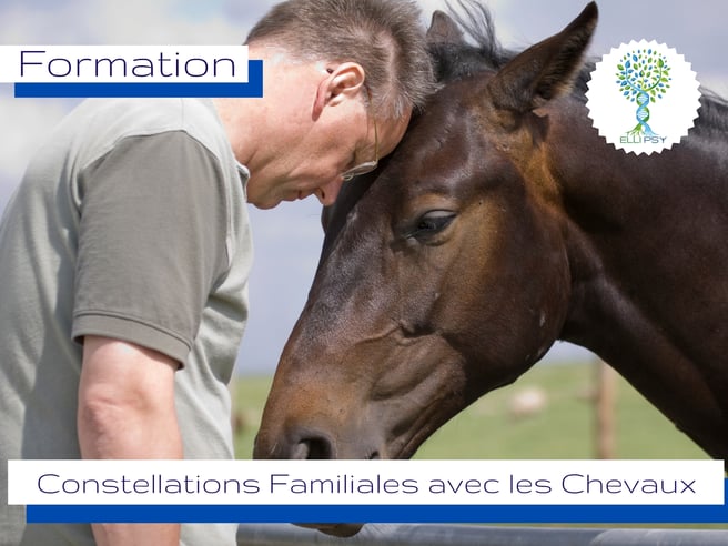 ellipsy-formation-constellations-familiales-en-médiation-équine