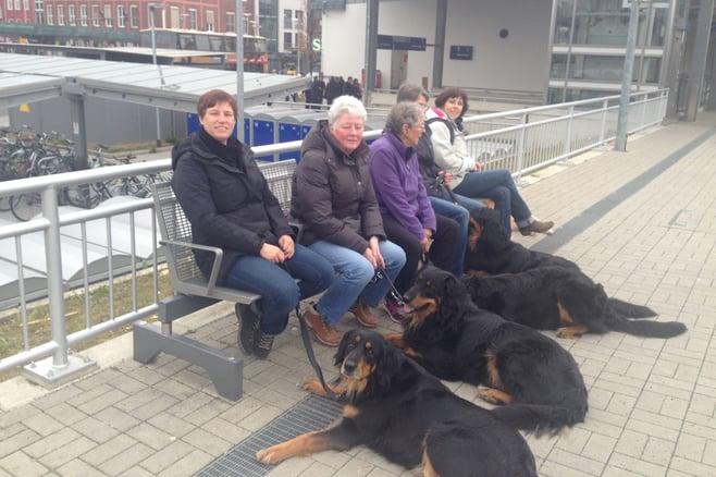 Eine der leichteren Übungen: die Hovisardinen warten auf den einkommenden Zug