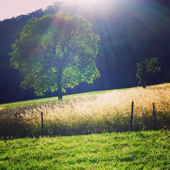 Abschiedsfeier, Rituale, Zeremonien für Kinder. Das letzte Fest. Brigitte Ingold Oensingen