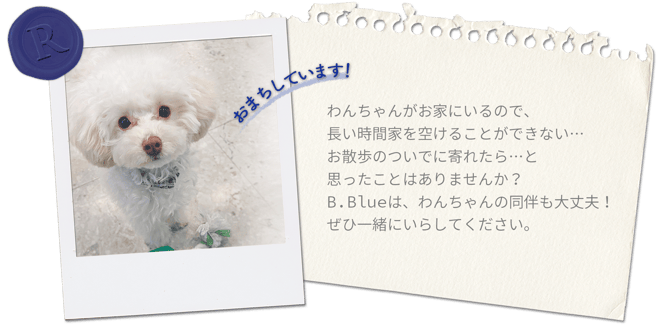 ペット同伴OKの美容室です