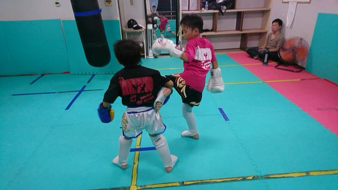 奈良県で空手、格闘技をするならteamYAMATO大和高田本部。葛城市近郊。