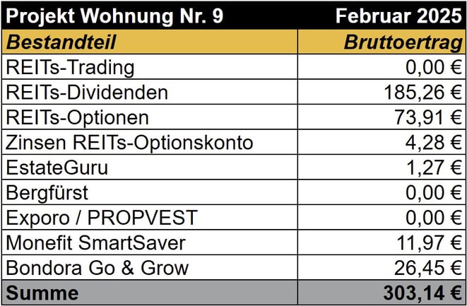 tabellarische Übersicht, Einnahemen Projekt Wohnung Nr. 9, REITs, Optionshandel, Bergfürst, Exporo, PROPVEST, Bondora Go & Grow, Monefit SmartSaver