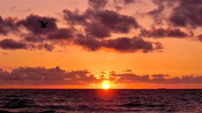 freaky travel, freaky finance, Meer, Sonnenaufgang, Atlantik, Miami Beach