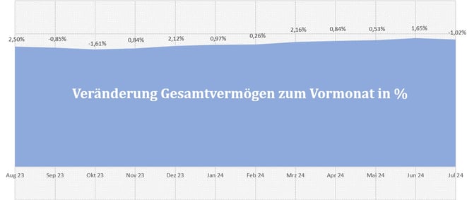 freaky finance, Gesamtvermögen, prozentuale Veränderungen der letzten 12 Monate, Diagramm