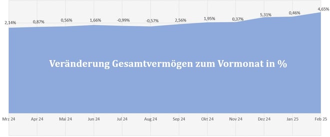 freaky finance, Gesamtvermögen, prozentuale Veränderungen der letzten 12 Monate, Diagramm
