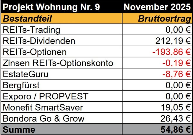 tabellarische Übersicht, Einnahmen Projekt Wohnung Nr. 9, REITs, Optionshandel, Bergfürst, Exporo, PROPVEST, Bondora Go & Grow, Monefit SmartSaver