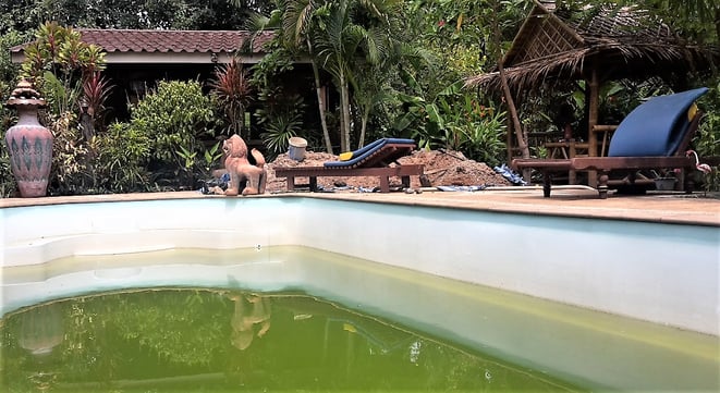 freaky finance, freaky travel, Pool, halb leer, Liegestühle, Ban Elephant Blanc