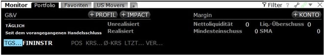 Screenshot Portfolio Reiter in der TWS