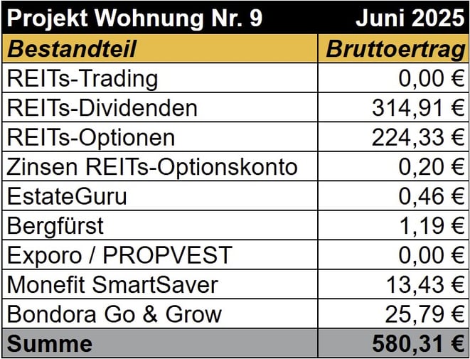 tabellarische Übersicht, Einnahemen Projekt Wohnung Nr. 9, REITs, Optionshandel, Bergfürst, Exporo, PROPVEST, Bondora Go & Grow, Monefit SmartSaver