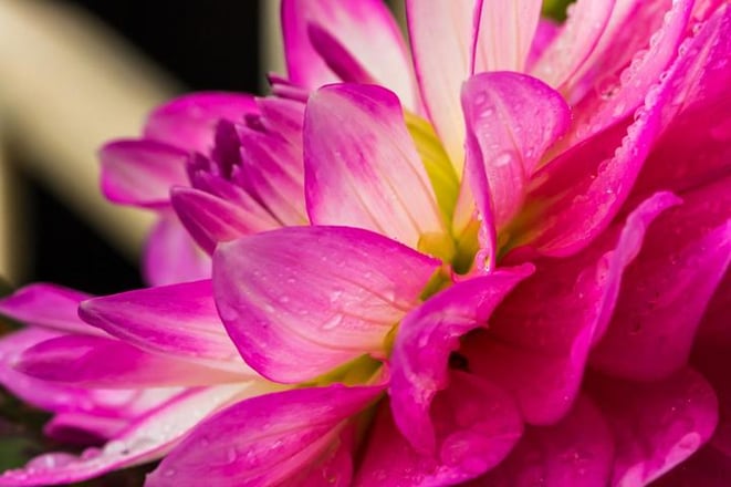 Top 5 Tipps Lübeck - Der Schulgarten in Lübeck @freaky travel by freaky finance