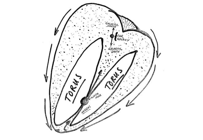 宇宙卵のトーラス(マクドネル・リポートより)