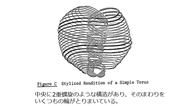 シンプルなトーラスレンダリング（マクドネル・リポートより）