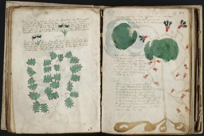 ヴォイニッチ手稿（イェール大学より）