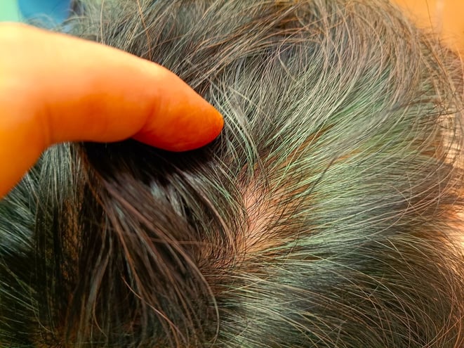 HQヘナとシコン色で2度染め