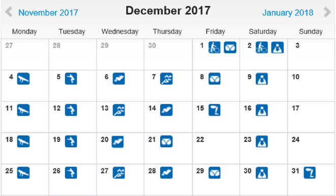 freaky routine, tägliche Übungen, Projekt 100, runtastic, Statistik Dezember 2017