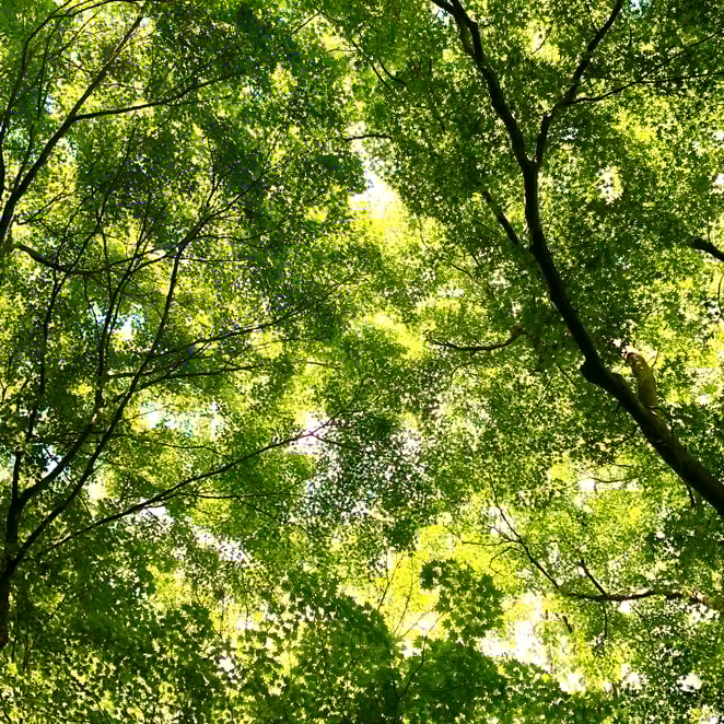 京都市下京区四条烏丸の心療内科、女医のいるメンタルクリニック、マインドフルネス