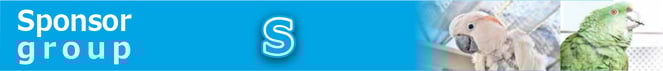 鳥のスポンサーグループS