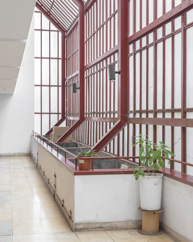 Photography: João Neves