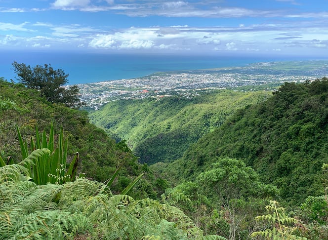 Blick auf Saint Denis, Hauptort von La Réunion im Indischen Ozean.