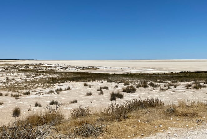 Der Etosha-Nationalpark ist sehr gross, trocken und flach. Trotzdem entdecken wir viele Tiere.